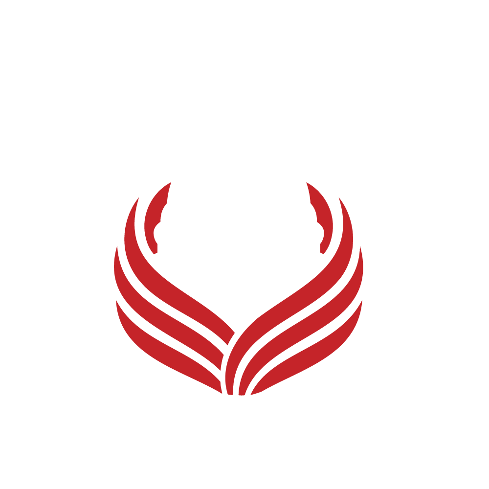 Cook Policy LLC logo